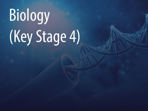 Biology (Key Stage 4) 